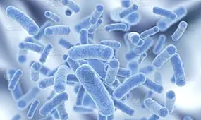 投稿需提供細胞鑒定報告的期刊雜志列表