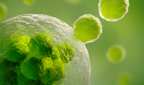 細胞培養(yǎng)的注意事項